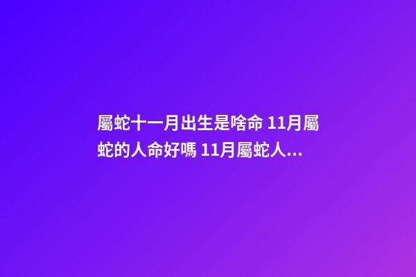 屬蛇十一月出生是啥命 11月屬蛇的人命好嗎 11月屬蛇人的命運如何-第1張-觀點-玄機派